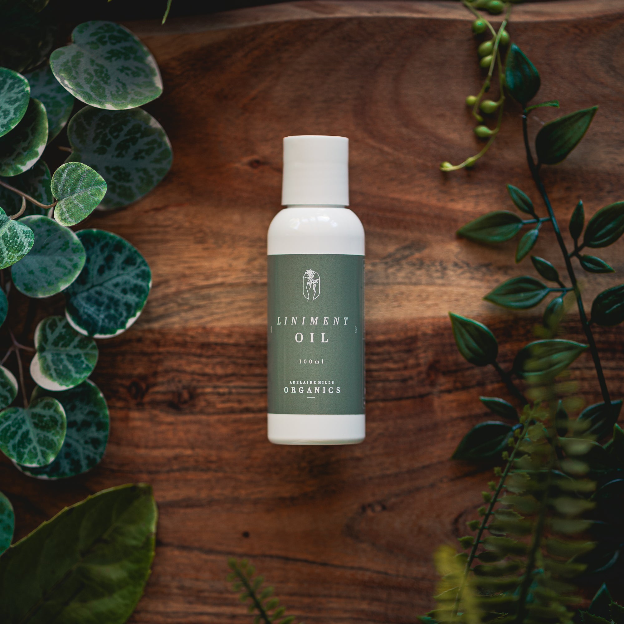 (wholesale) Muscle Relief Oil - 100ml