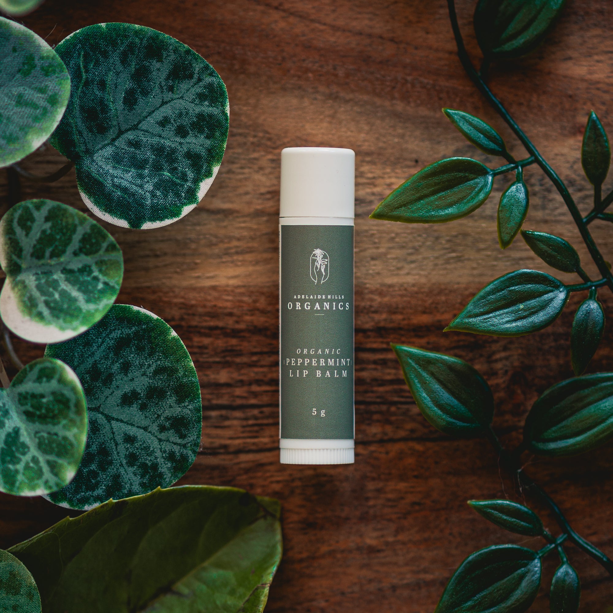 Peppermint Lip Balm | 5gm